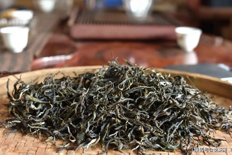 普洱茶哪里最好